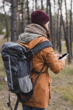 Ormanda arama yaparken akıllı telefon kullanan sırt çantalı gezginin arka planı