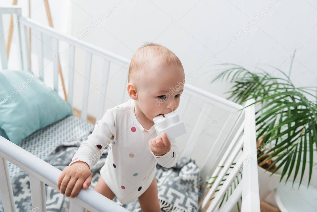 high angle view of toddler boy biting toy building block while standing in crib