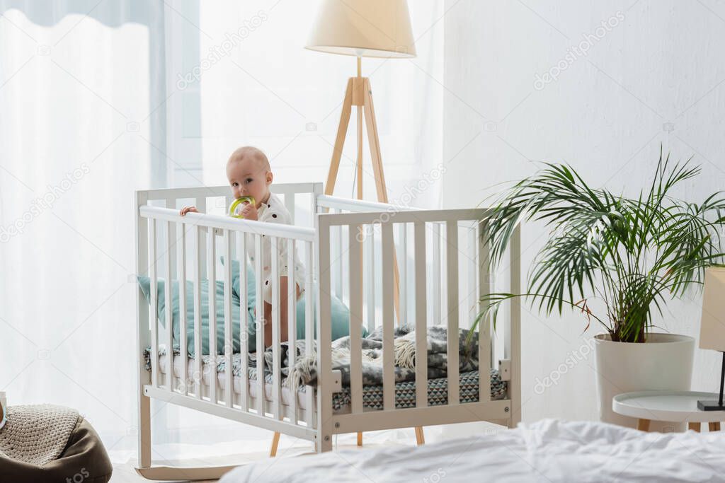 toddler kid with rattle ring standing in crib near lamp and plant