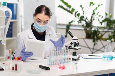 Tıbbi maske takan bilim adamı laboratuarda test tüplerinin yanında dijital tablet ve petri kabı tutuyor. 