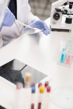 Dijital tabletin yanında pipet ve petri kabıyla çalışan bilim adamının görüntüsü ve kan örnekleriyle test tüpleri. 