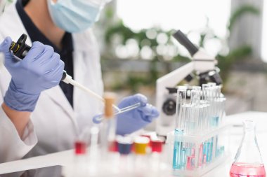 Laboratuvar tüplerinin yanında elektronik pipet ve petri kabı tutan lateks eldivenli bilim adamının kırpılmış görüntüsü. 