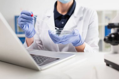 Laboratuvarda laptopun yanında petri kabı ve PCR testi tutan bilim adamının kırpılmış görüntüsü. 