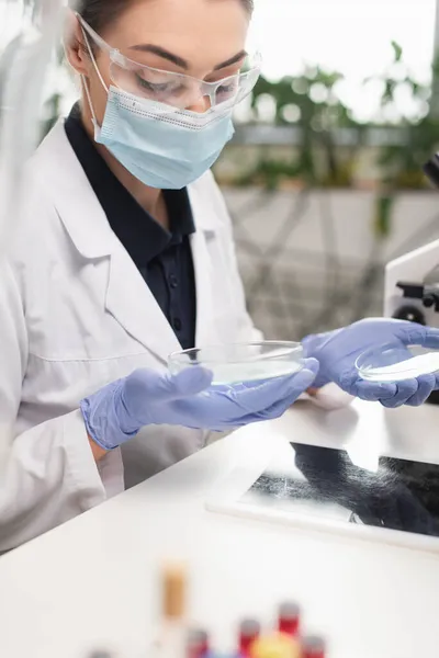 Wissenschaftler Mit Latexhandschuhen Und Schutzbrille Halten Petrischalen Der Nähe Des — Stockfoto