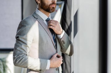 Ofisteki kravatın düzeltilmesi görüşü 