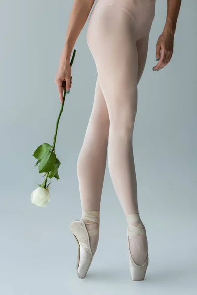 Обрізаний Вид Елегантну Балерину Балеті Тримає Троянду Сірому — стокове фото