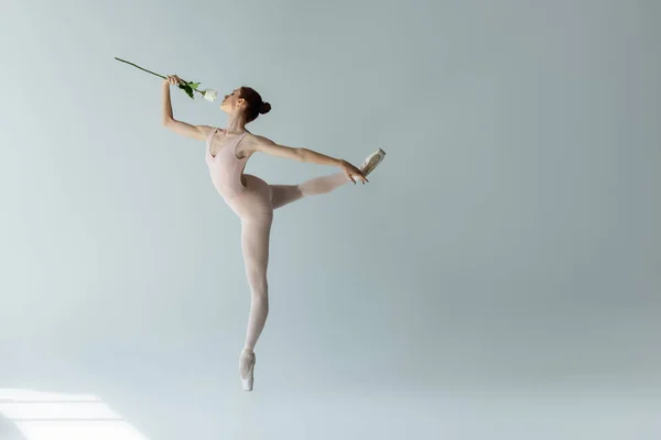 Comprimento Total Bailarina Graciosa Bodysuit Cheirando Rosa Enquanto Dança Cinza — Fotografia de Stock