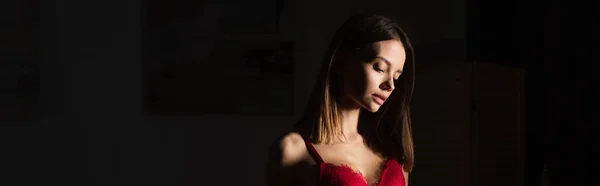 Young Sexy Woman Red Lace Bra Dark Background Banner — Stock fotografie