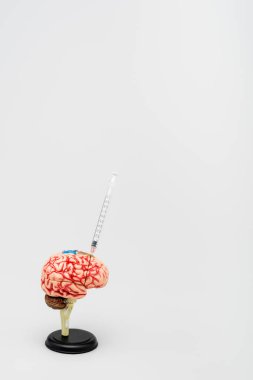 syringe in brain model on grey background with copy space, omicron variant concept clipart