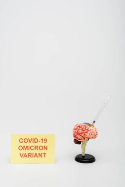 card with covid-19 omicron variant lettering near brain model with syringe on grey background