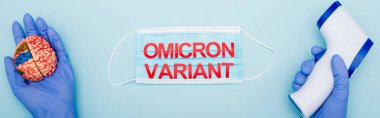 partial view of doctor with brain model and pyrometer near medical mask with omicron variant lettering on blue, banner