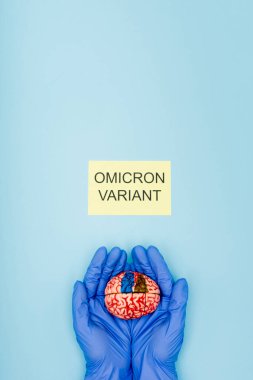 partial view of scientist with brain model near white card with omicron variant lettering on blue