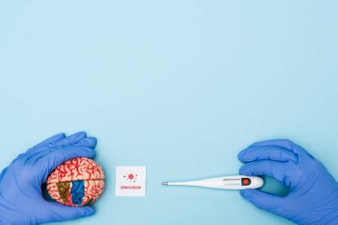 cropped view of doctor with thermometer and brain model near card with omicron lettering and bacteria on blue