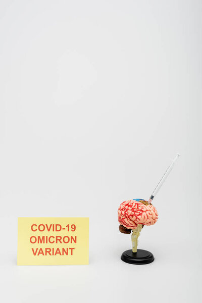 card with covid-19 omicron variant lettering near brain model with syringe on grey background