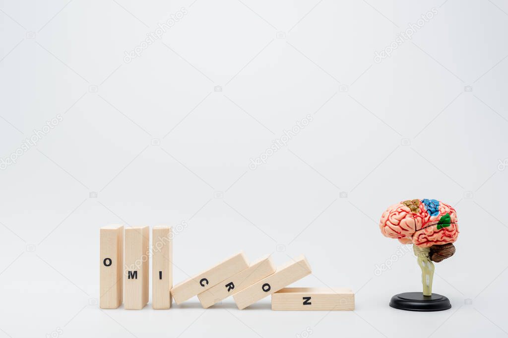 wooden bricks with omicron lettering near brain model on grey background