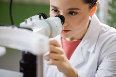 young oculist using vision screener on blurred foreground