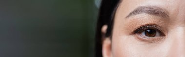 cropped view of asian woman looking at camera, eye care concept, banner