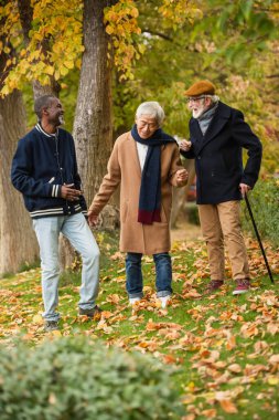 Sonbahar parkında konuşan mutlu çok ırklı yaşlılar 