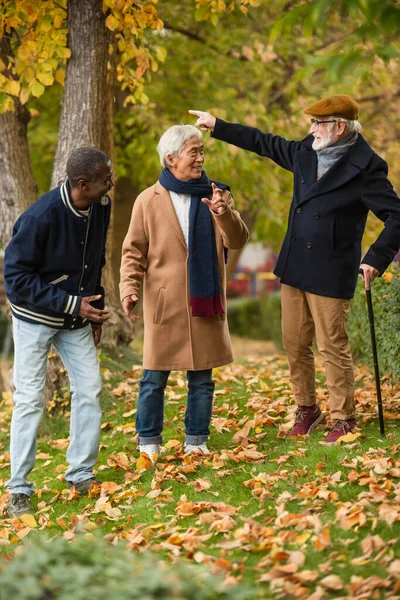 Позитивні Багатоетнічні Старші Чоловіки Жестикулюють Осінньому Парку — стокове фото