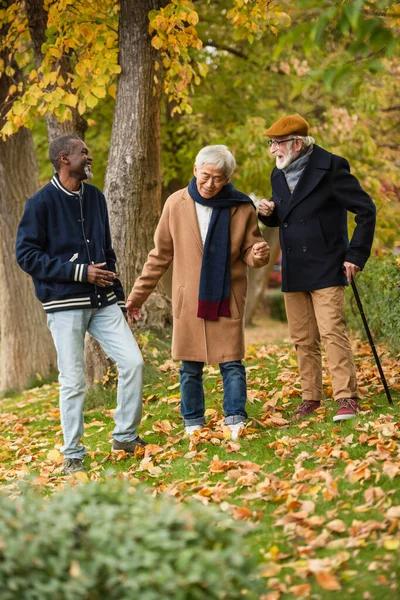 Hombres Mayores Multiétnicos Felices Hablando Parque Otoño —  Fotos de Stock