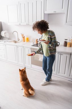 Shiba Inu köpeğinin yüksek açılı görüntüsü ve mutfakta krepli gülümseyen Afrikalı Amerikalı kadın.