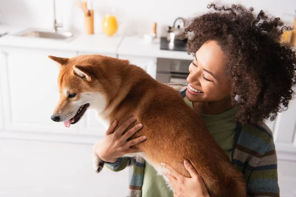 Glad Afrikansk Amerikansk Kvinde Holder Shiba Inu Hund Køkkenet - Stock-foto