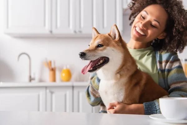 Rolig Shiba Inu Hund Sticker Tunga Nära Glad Afrikansk Amerikansk — Stockfoto