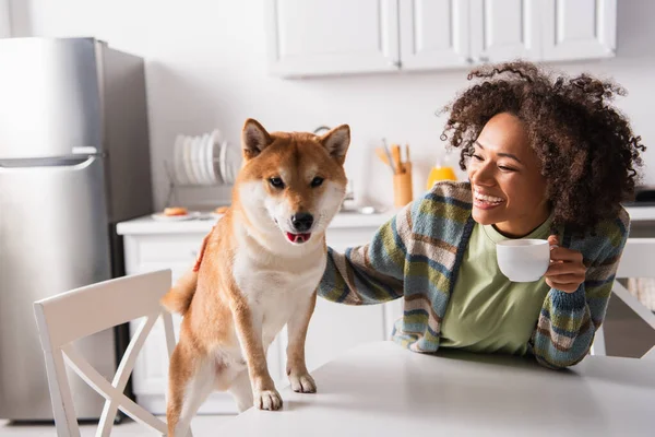 Excited African American Woman Holding Cup Coffee Shiba Inu Dog — Stock Photo, Image