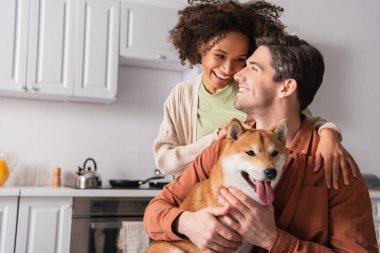 Neşeli Afrikalı Amerikalı kadın, erkek arkadaşına sarılıyor ve Shiba Inu köpeğini mutfakta tutuyor.