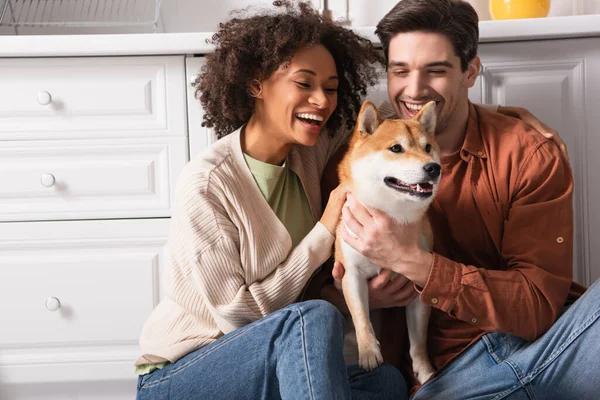 Mladý Šťastný Mezirasový Pár Baví Shiba Inu Pes Kuchyni — Stock fotografie