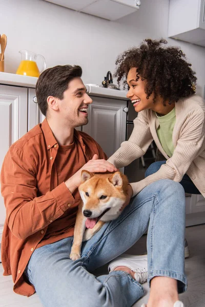 キッチンで柴犬と楽しい時間を過ごしながら見ている陽気な多民族カップル — ストック写真