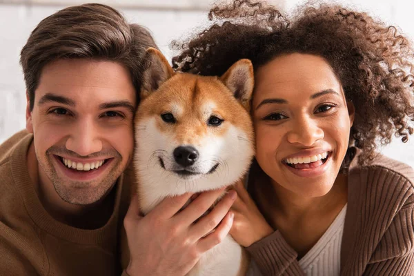 Smilende Interracial Par Ser Kamera Petting Shiba Inu Hjemme - Stock-foto