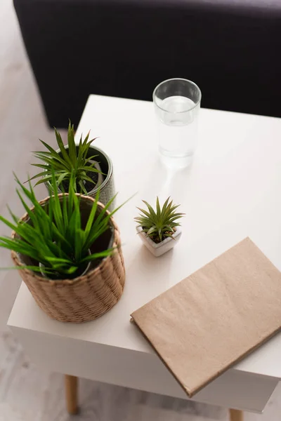 Hög Vinkel Syn Bok Nära Växter Och Glas Vatten Hemma — Stockfoto