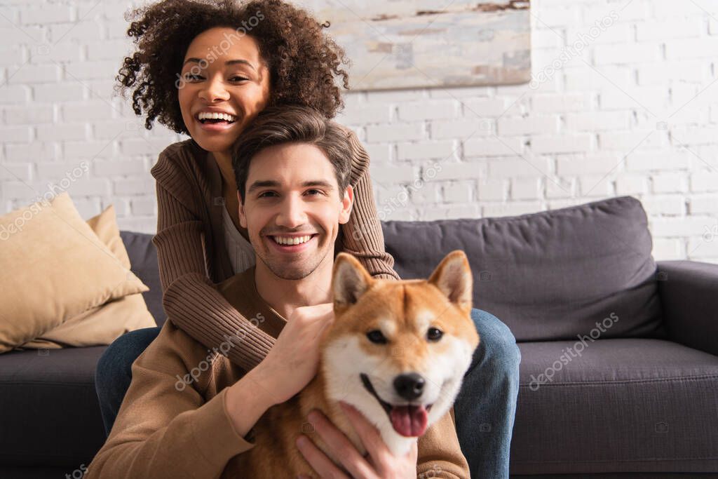 Positive multiethnic couple looking at camera near blurred shiba inu in living room 