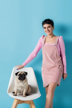 Pug 'ın yanındaki kameraya gülümseyen moda kadın mavi arka planda sandalyede