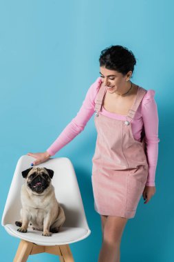 Pastel elbiseli gülümseyen kadın mavi arka planda beyaz sandalyede pug 'a bakıyor.