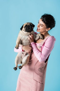 Pastel elbiseli mutlu esmer kadın mavi üzerine izole edilmiş pug dog tutuyor.