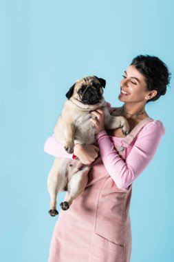 Genç ve neşeli bir kadın mavi üzerinde tek başına dururken pug dog 'a sarılıyor.