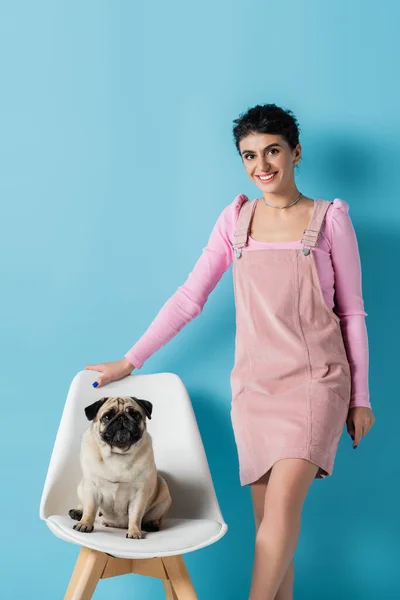 trendy woman smiling at camera near pug on chair on blue background