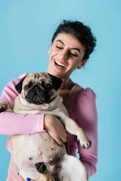 Excitat Bruneta Femeie Holding Pug Câine Izolat Albastru — Fotografie, imagine de stoc