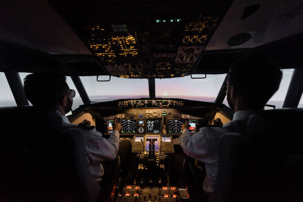 back view of professionals piloting modern airplane
