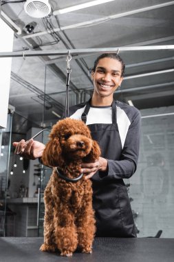 Kahverengi kanişin yanında önlüklü neşeli bir Afro-Amerikan kuaför elinde makasla