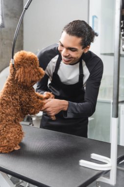 Afro-Amerikan evcil hayvan berberi kuaförde fino köpeğiyle eğleniyor.