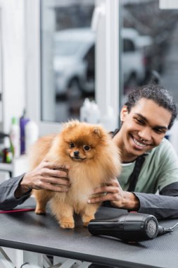 Neşeli Afro-Amerikan tımarcı Pomeranian Spitz 'e sarılıyor. Saç kurutma makinesinin yanında.