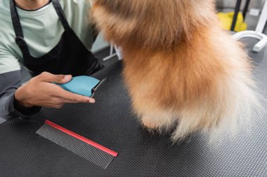 Afro-Amerikan kuaförünün tüylü köpeğin yanında elektrikli budayıcı ve taraklı tarağı vardı.