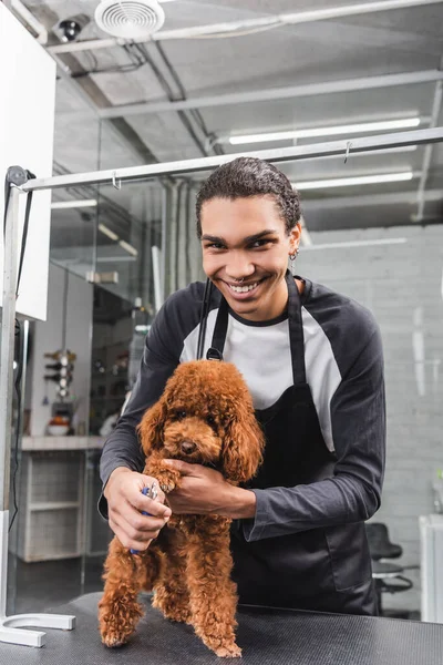 Mutlu Afro-Amerikan kuaförü evcil hayvan salonundaki kahverengi kanişin yanındaki kameraya bakıyor.