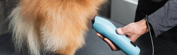Teilansicht Der Afrikanisch Amerikanischen Haustier Friseur Pflege Hund Mit Elektrischem — Stockfoto