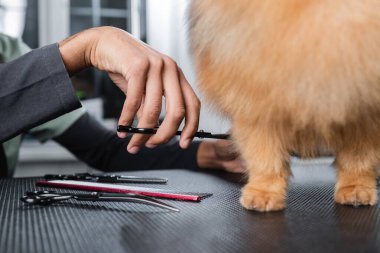 Afro-Amerikan bir adamın köpeğini masanda tımar aletlerinin yanında budamasına kısmi bakış açısı