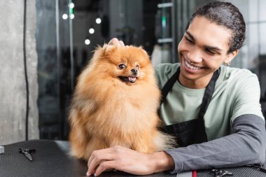 Mutlu Afro-Amerikan kuaför Pomeranian Spitz 'in yanında gülümsüyor