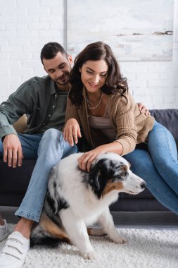 Gülümseyen genç kadın sakallı erkek arkadaşının yanında Avustralyalı çoban köpeğine sarılıyor. 